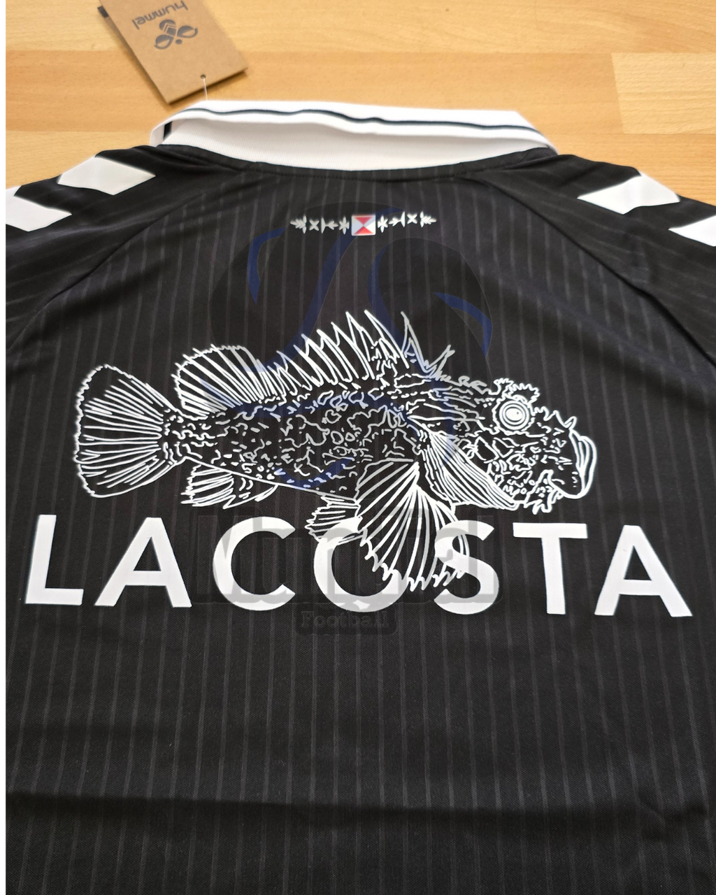 CAMISETA CELTA/DEPOR X HARD GZ