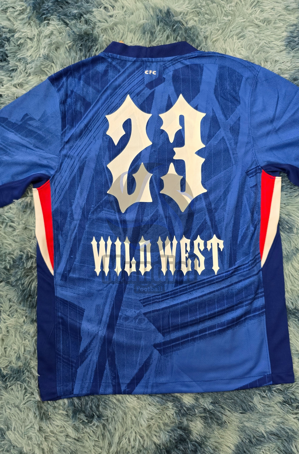 CAMISETA CH3LSE4 X C3NTR4L CEE