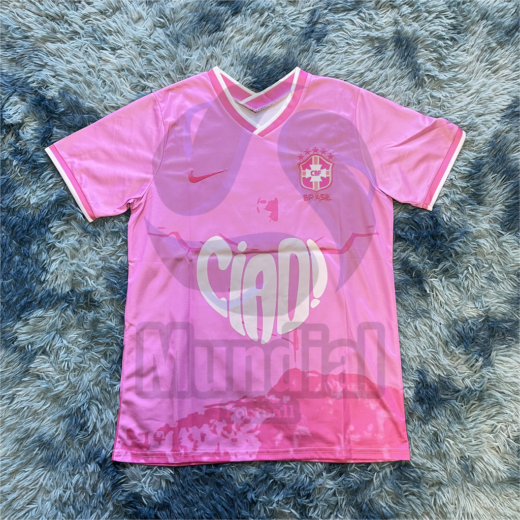 CAMISETA D.VALENT!NO X V4LENC!A/BRS!L