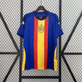 CAMISETA ESPAÑA TRAINING 24/25