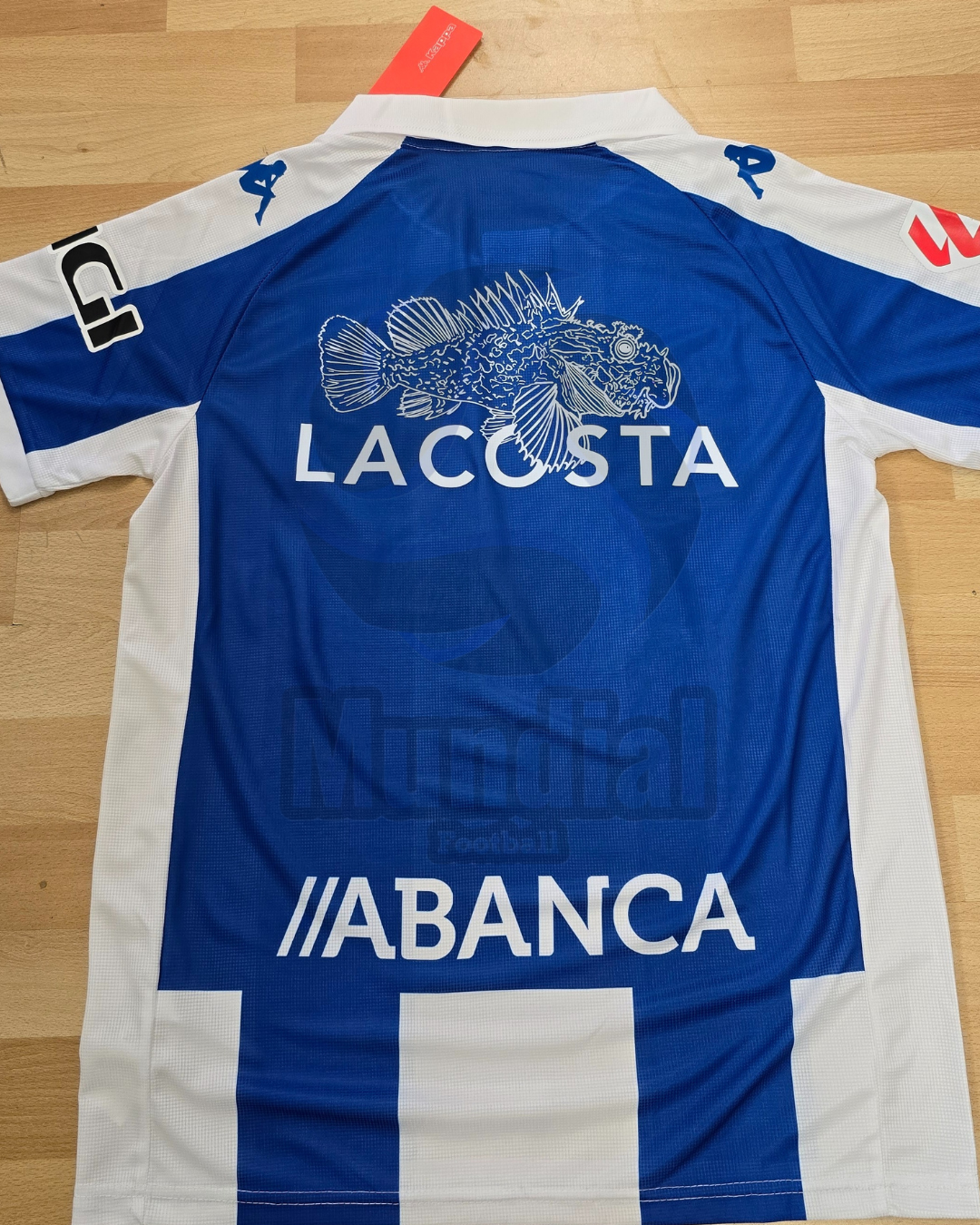 CAMISETA CELTA/DEPOR X HARD GZ