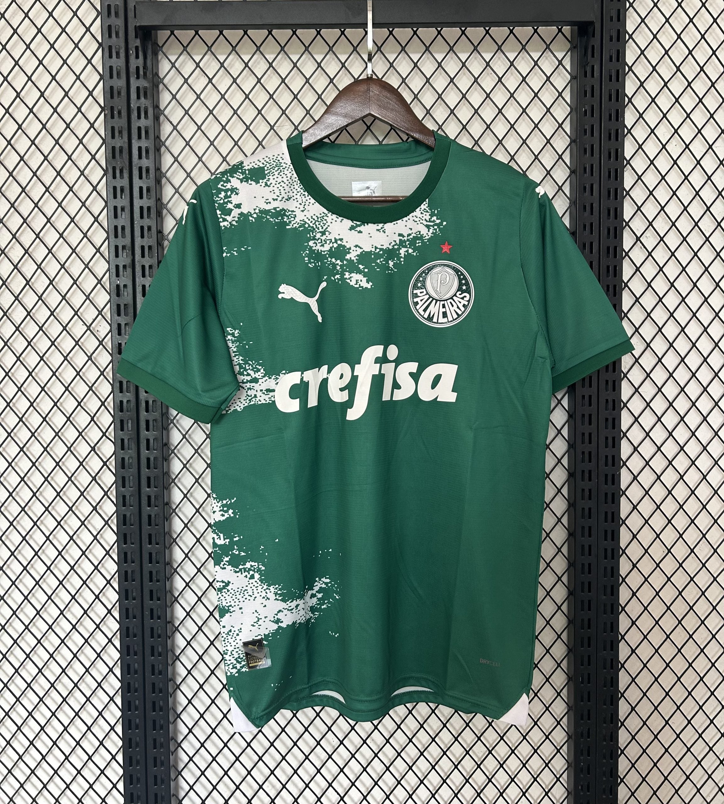 CAMISETA PALMEIRAS (2) 24/25