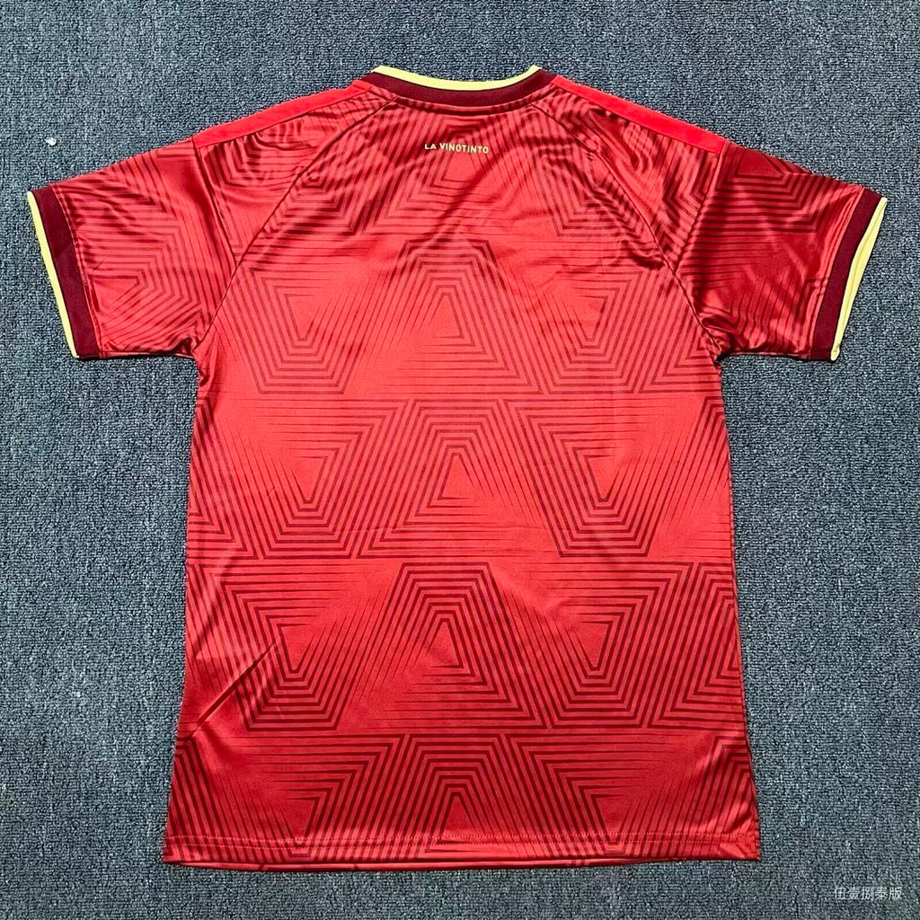 CAMISETA VENEZUELA 25/26