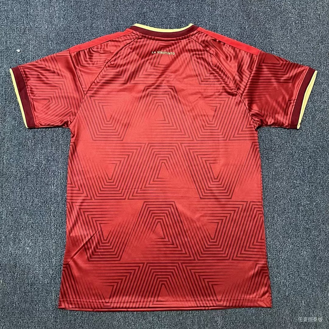 CAMISETA VENEZUELA 25/26