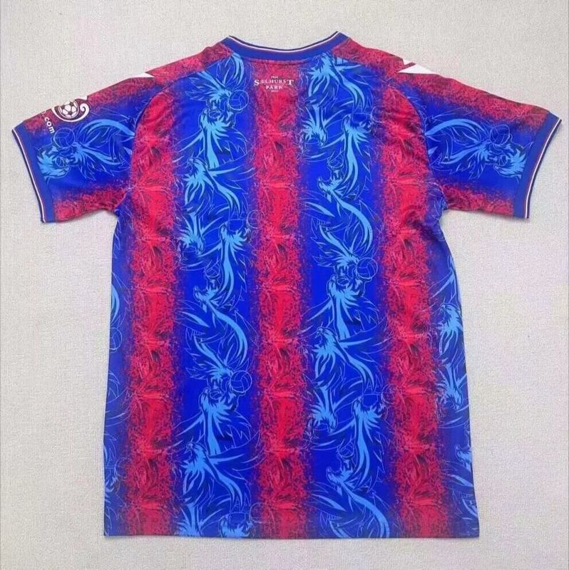 CAMISETA CRYSTAL PALACE 24/25