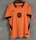 CAMISETA HOLAND4
