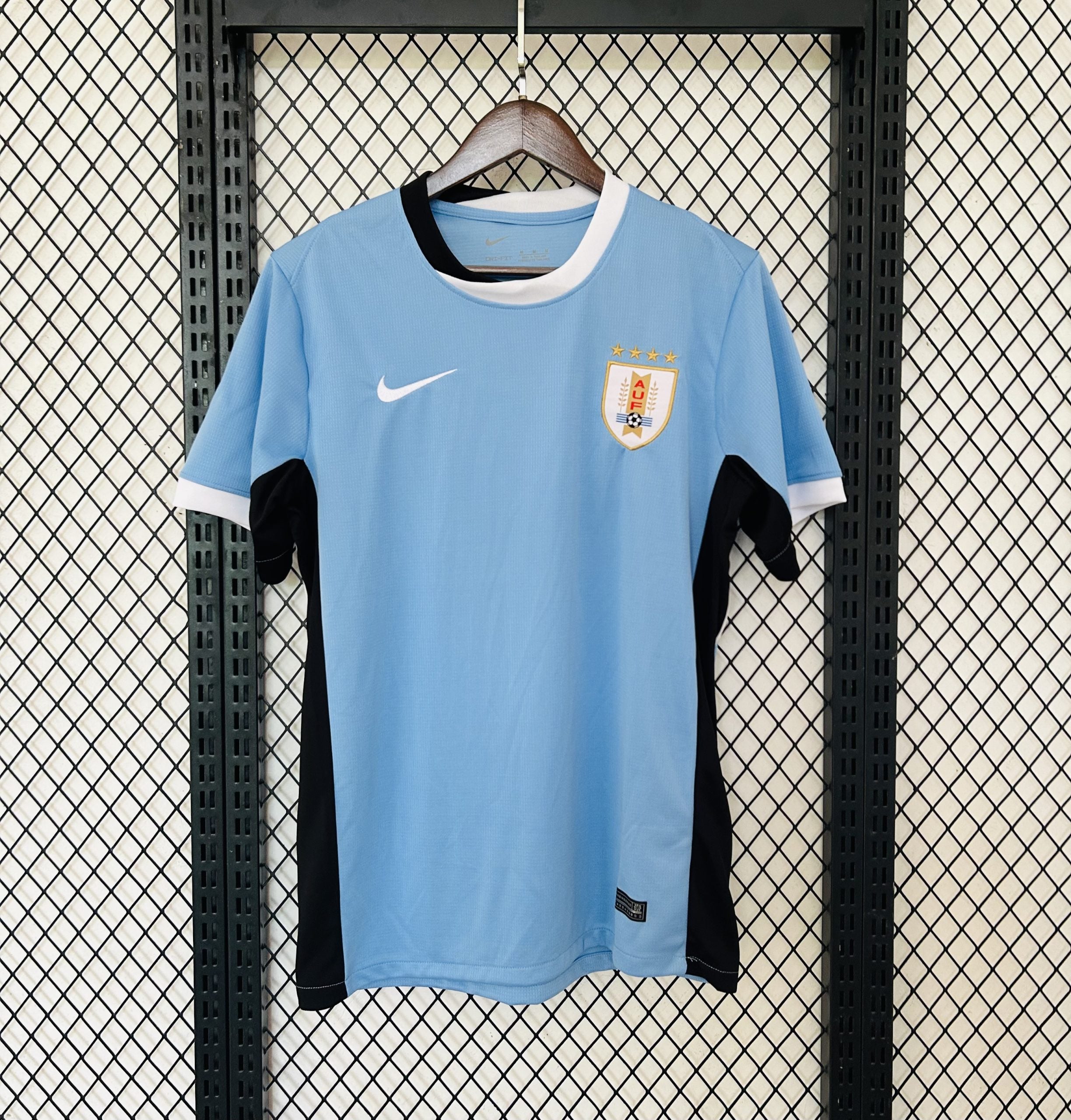 CAMISETA SELECCION URUGUAY 24/25