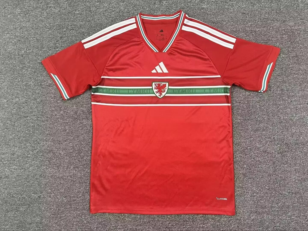 CAMISETA GALES 25/26