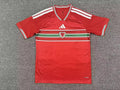 CAMISETA GALES 25/26