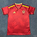 CAMISETA VENEZUELA 25/26