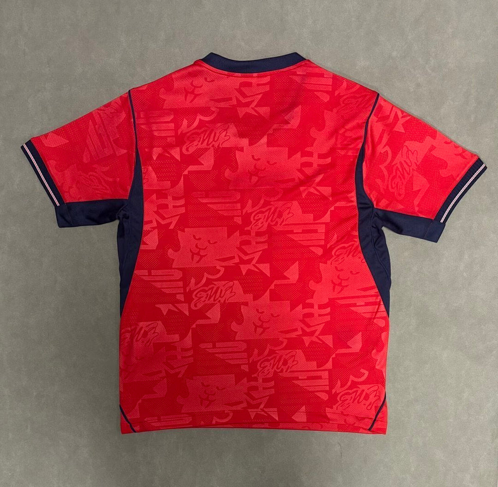 CAMISETA INGLATERRA (2) 25/26