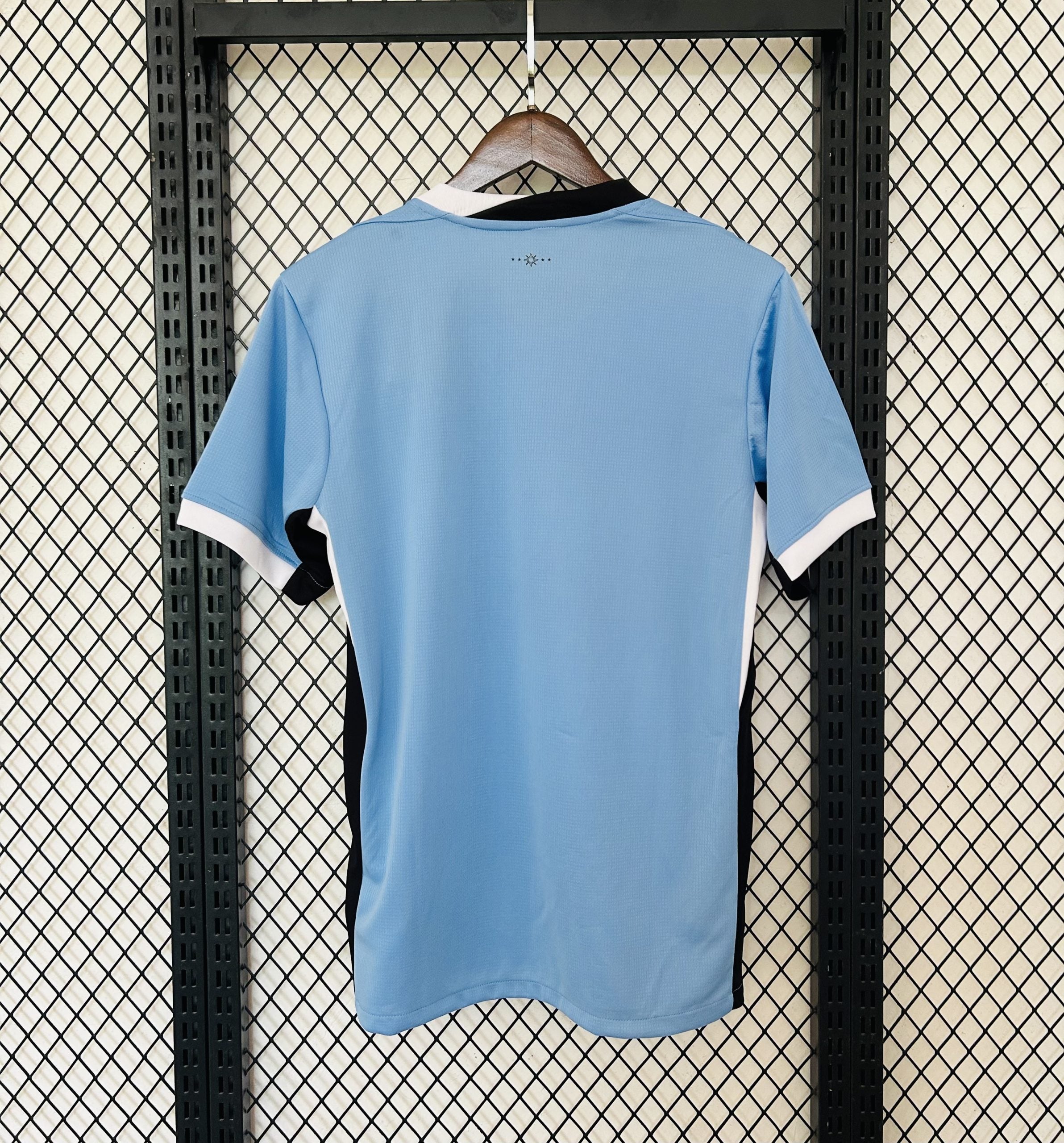 CAMISETA SELECCION URUGUAY 24/25