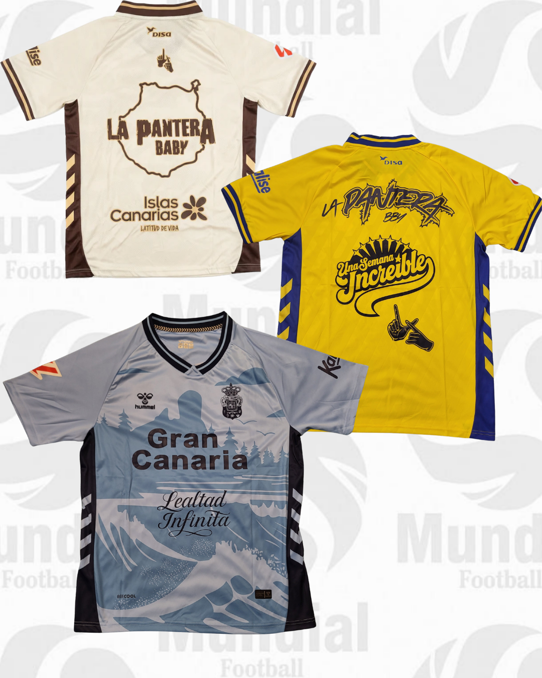CAMISETA LA PANT3R4 X LS P4LM4S