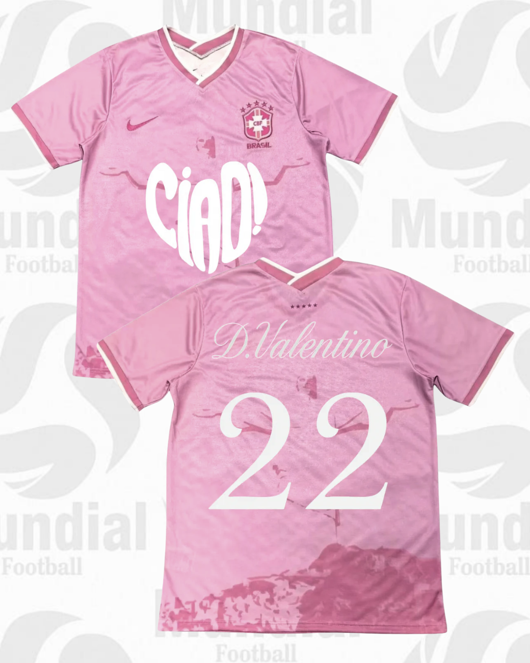 CAMISETA D.VALENT!NO X V4LENC!A/BRS!L
