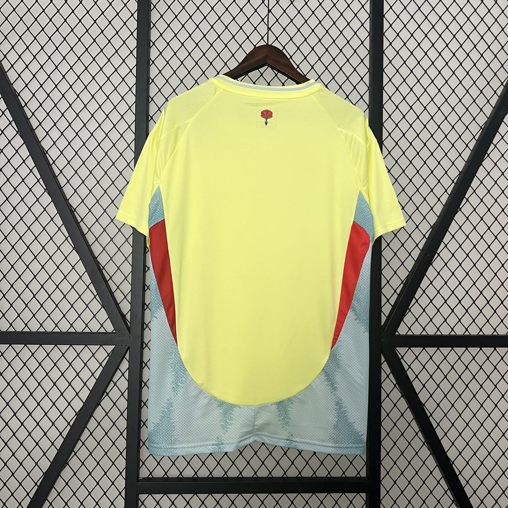 CAMISETA SELECCION ESPAÑA FAN (2) 23/24