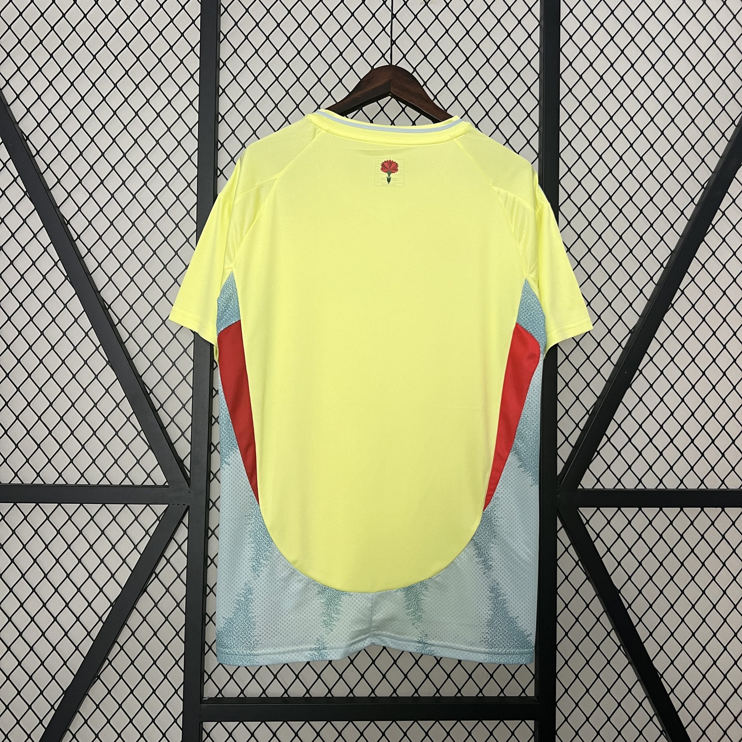 CAMISETA SELECCION ESPAÑA FAN (2) 23/24