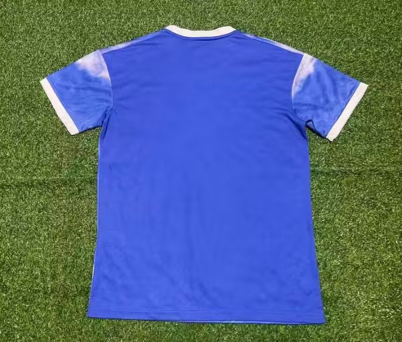 CAMISETA SELECCION JAPON ED.ESPECIAL (4) 23/24