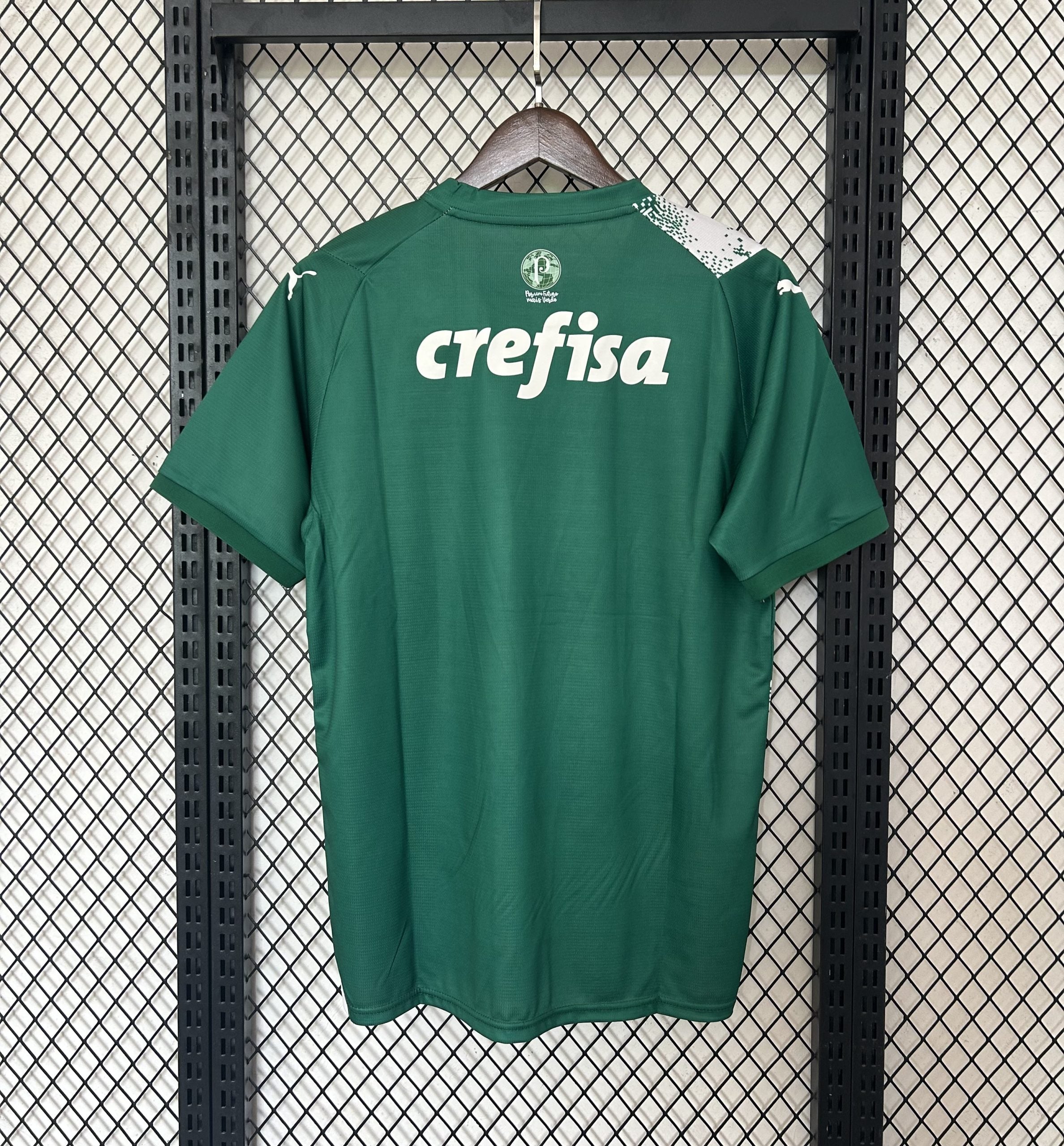 CAMISETA PALMEIRAS (2) 24/25