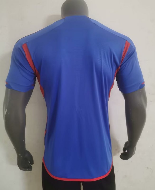 CAMISETA LYON 23/24