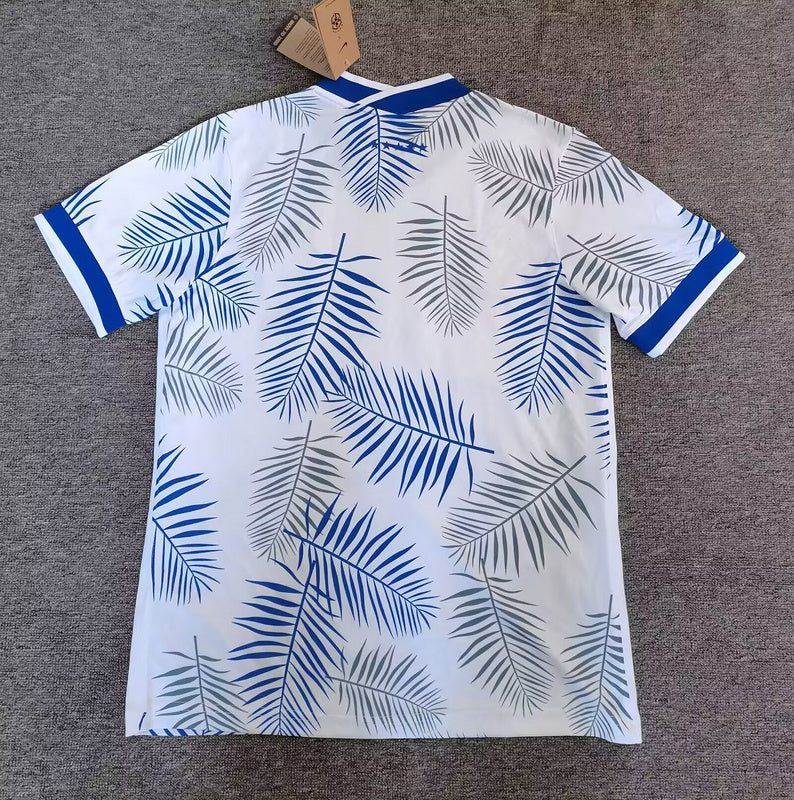 CAMISETA BRASIL ED.ESPECIAL (2) 25/26