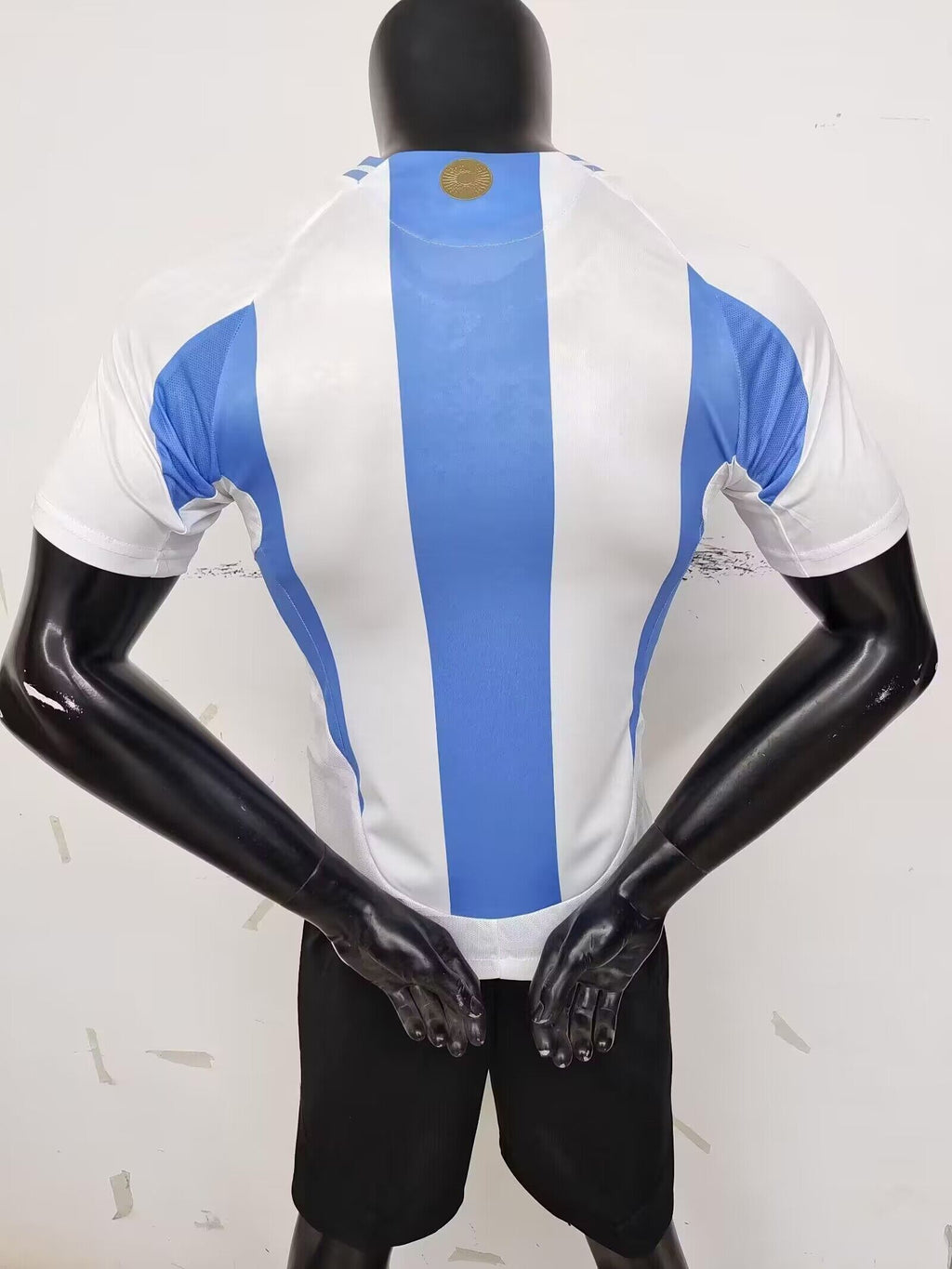 CAMISETA SELECCION ARGENTINA 24/25