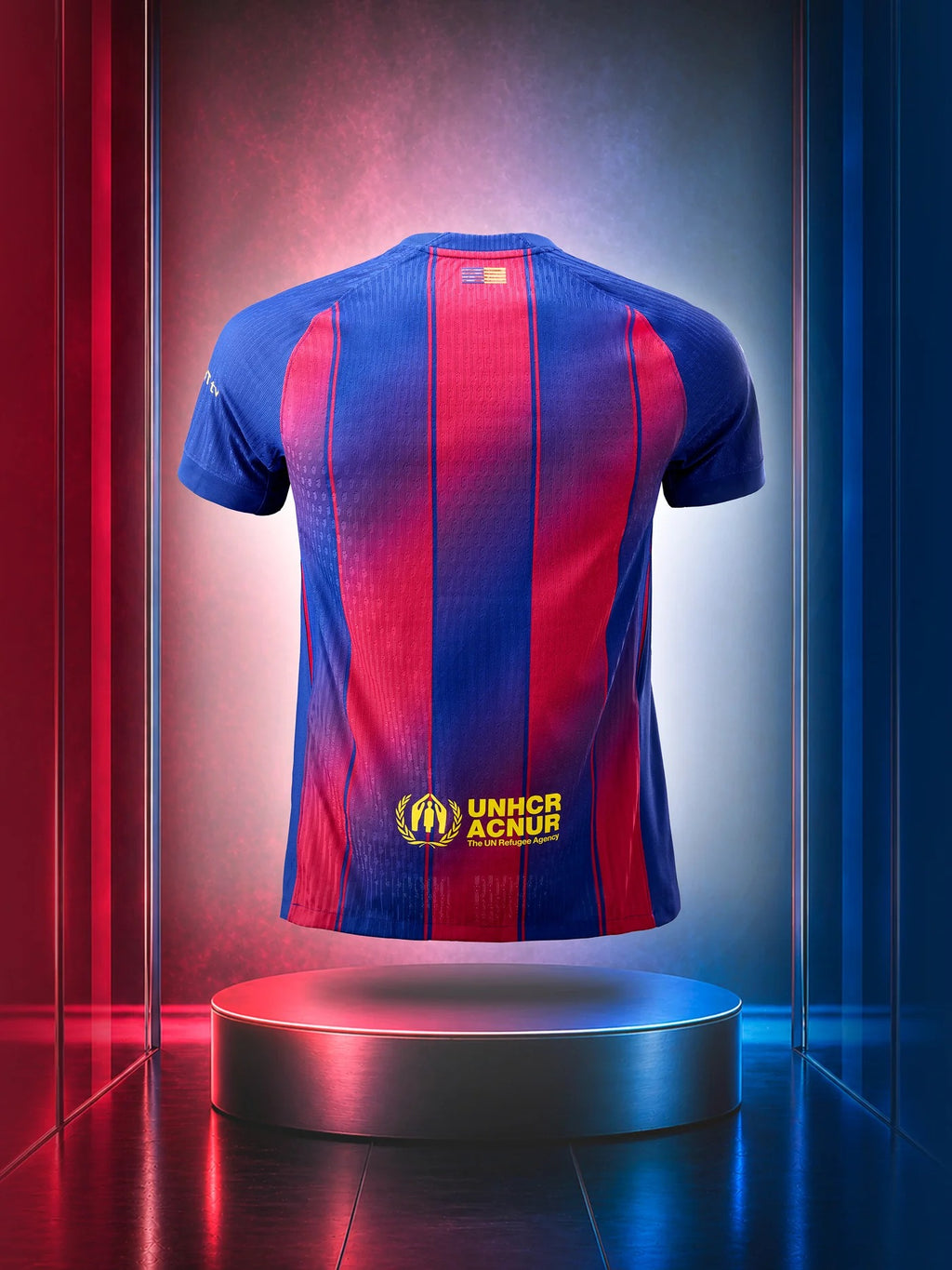 CAMISETA OLIVIA RODIGO X BARC FAN